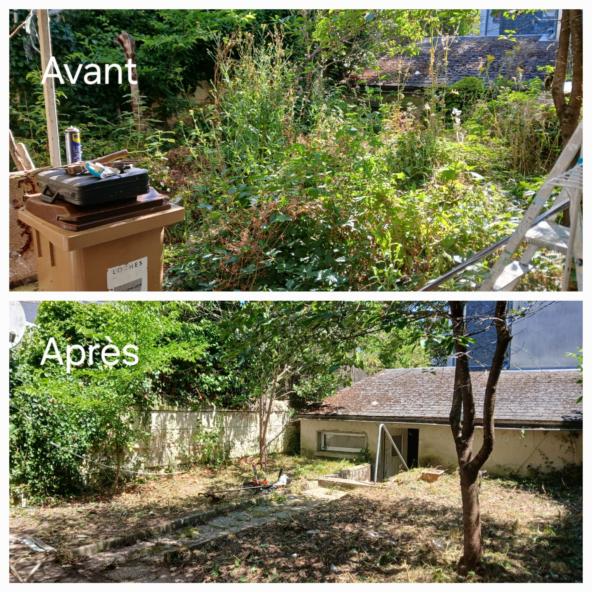 Avant / Après défrichage